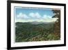 Great Smoky Mts. Nat'l Park, Tn - Clingman's Dome View, c.1940-Lantern Press-Framed Premium Giclee Print