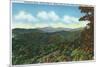 Great Smoky Mts. Nat'l Park, Tn - Clingman's Dome View, c.1940-Lantern Press-Mounted Premium Giclee Print