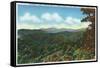 Great Smoky Mts. Nat'l Park, Tn - Clingman's Dome View, c.1940-Lantern Press-Framed Stretched Canvas