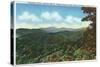 Great Smoky Mts. Nat'l Park, Tn - Clingman's Dome View, c.1940-Lantern Press-Stretched Canvas