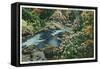 Great Smoky Mts. Nat'l Park, Tn - Overhead View of Little Pigeon River Rustic Bridge, c.1940-Lantern Press-Framed Stretched Canvas