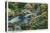 Great Smoky Mts. Nat'l Park, Tn - Overhead View of Little Pigeon River Rustic Bridge, c.1940-Lantern Press-Stretched Canvas