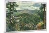 Great Smoky Mts. Nat'l Park, Tn - Panoramic View of Mt. Le Conte, c.1940-Lantern Press-Mounted Art Print