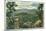 Great Smoky Mts. Nat'l Park, Tn - Panoramic View of Mt. Le Conte, c.1940-Lantern Press-Mounted Art Print