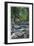 Great Smoky Mts. Nat'l Park, Tn - Rustic Foot Bridge across Roaring Fork Creek, c.1940-Lantern Press-Framed Art Print