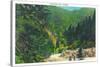 Great Smoky Mts. Nat'l Park, Tn - Scenic View Along Newfound Gap Highway, c.1946-Lantern Press-Stretched Canvas