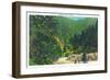 Great Smoky Mts. Nat'l Park, Tn - Scenic View Along Newfound Gap Highway, c.1946-Lantern Press-Framed Art Print