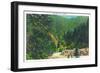 Great Smoky Mts. Nat'l Park, Tn - Scenic View Along Newfound Gap Highway, c.1946-Lantern Press-Framed Art Print