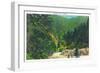 Great Smoky Mts. Nat'l Park, Tn - Scenic View Along Newfound Gap Highway, c.1946-Lantern Press-Framed Art Print