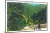 Great Smoky Mts. Nat'l Park, Tn - Scenic View Along Newfound Gap Highway, c.1946-Lantern Press-Mounted Art Print