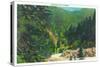 Great Smoky Mts. Nat'l Park, Tn - Scenic View Along Newfound Gap Highway, c.1946-Lantern Press-Stretched Canvas