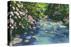 Great Smoky Mts. Nat'l Park, Tn - Scenic View of a Mountain Stream, c.1946-Lantern Press-Stretched Canvas