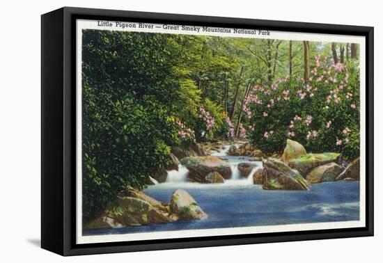 Great Smoky Mts. Nat'l Park, Tn - Scenic View of Little Pigeon River, c.1936-Lantern Press-Framed Stretched Canvas