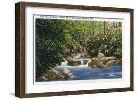 Great Smoky Mts. Nat'l Park, Tn - Scenic View of Little Pigeon River, c.1936-Lantern Press-Framed Art Print