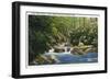 Great Smoky Mts. Nat'l Park, Tn - Scenic View of Little Pigeon River, c.1936-Lantern Press-Framed Art Print