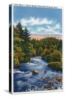 Great Smoky Mts. Nat'l Park, Tn - Scenic View of Little River, c.1946-Lantern Press-Stretched Canvas