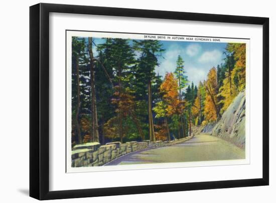 Great Smoky Mts. Nat'l Park, Tn - Skyline Drive View Near Clingman's Dome in the Autumn, c.1946-Lantern Press-Framed Art Print