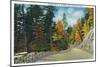 Great Smoky Mts. Nat'l Park, Tn - Skyline Drive View Near Clingman's Dome in the Autumn, c.1946-Lantern Press-Mounted Art Print