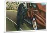 Great Smoky Mts. Nat'l Park, Tn - View of a Car Being Stopped by Native Black Bears, c.1940-Lantern Press-Mounted Premium Giclee Print