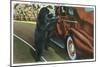 Great Smoky Mts. Nat'l Park, Tn - View of a Car Being Stopped by Native Black Bears, c.1940-Lantern Press-Mounted Art Print