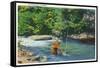 Great Smoky Mts. Nat'l Park, Tn - View of a Fisherman Catching a Fish, c.1946-Lantern Press-Framed Stretched Canvas