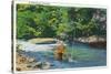 Great Smoky Mts. Nat'l Park, Tn - View of a Fisherman Catching a Fish, c.1946-Lantern Press-Stretched Canvas