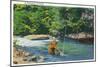 Great Smoky Mts. Nat'l Park, Tn - View of a Fisherman Catching a Fish, c.1946-Lantern Press-Mounted Art Print