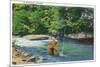 Great Smoky Mts. Nat'l Park, Tn - View of a Fisherman Catching a Fish, c.1946-Lantern Press-Mounted Premium Giclee Print