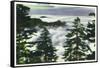 Great Smoky Mts. Nat'l Park, Tn - View of a Misty Clouds Amongst the Trees, c.1946-Lantern Press-Framed Stretched Canvas