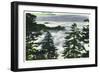 Great Smoky Mts. Nat'l Park, Tn - View of a Misty Clouds Amongst the Trees, c.1946-Lantern Press-Framed Art Print