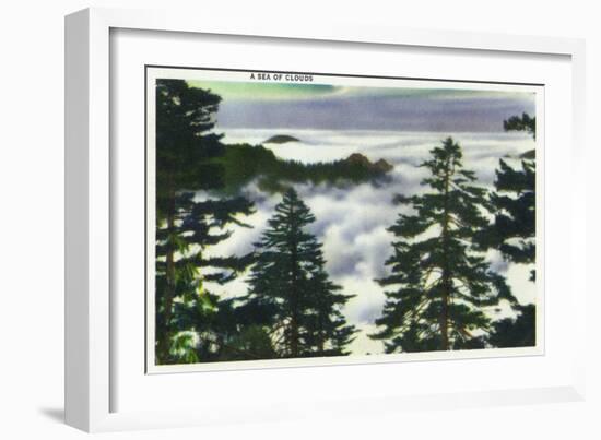 Great Smoky Mts. Nat'l Park, Tn - View of a Misty Clouds Amongst the Trees, c.1946-Lantern Press-Framed Art Print