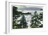 Great Smoky Mts. Nat'l Park, Tn - View of a Misty Clouds Amongst the Trees, c.1946-Lantern Press-Framed Art Print