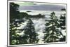 Great Smoky Mts. Nat'l Park, Tn - View of a Misty Clouds Amongst the Trees, c.1946-Lantern Press-Mounted Art Print