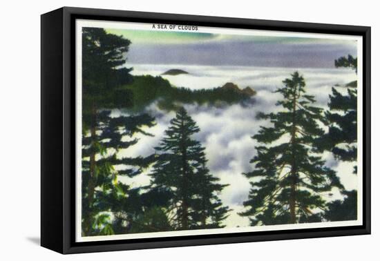 Great Smoky Mts. Nat'l Park, Tn - View of a Misty Clouds Amongst the Trees, c.1946-Lantern Press-Framed Stretched Canvas