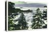 Great Smoky Mts. Nat'l Park, Tn - View of a Misty Clouds Amongst the Trees, c.1946-Lantern Press-Stretched Canvas