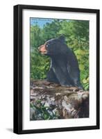 Great Smoky Mts. Nat'l Park, Tn - View of a Smoky Mountain Bear, c.1946-Lantern Press-Framed Art Print