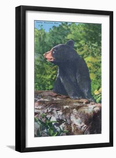 Great Smoky Mts. Nat'l Park, Tn - View of a Smoky Mountain Bear, c.1946-Lantern Press-Framed Art Print