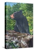 Great Smoky Mts. Nat'l Park, Tn - View of a Smoky Mountain Bear, c.1946-Lantern Press-Stretched Canvas