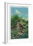 Great Smoky Mts. Nat'l Park, Tn - View of a Typical Mountain Cabin, c.1940-Lantern Press-Framed Art Print