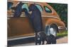 Great Smoky Mts. Nat'l Park, Tn - View of Black Bear and Cubs Looking in a Car, c.1940-Lantern Press-Mounted Premium Giclee Print