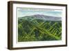 Great Smoky Mts. Nat'l Park, Tn - View of Clingman's Dome, c.1936-Lantern Press-Framed Art Print