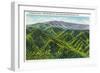 Great Smoky Mts. Nat'l Park, Tn - View of Clingman's Dome, c.1936-Lantern Press-Framed Art Print