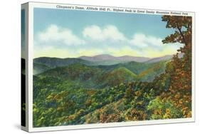 Great Smoky Mts. Nat'l Park, Tn - View of Clingman's Dome in the Autumn, c.1940-Lantern Press-Stretched Canvas