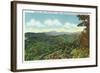 Great Smoky Mts. Nat'l Park, Tn - View of Clingman's Dome in the Autumn, c.1940-Lantern Press-Framed Art Print