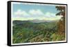 Great Smoky Mts. Nat'l Park, Tn - View of Clingman's Dome in the Autumn, c.1940-Lantern Press-Framed Stretched Canvas