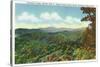 Great Smoky Mts. Nat'l Park, Tn - View of Clingman's Dome in the Autumn, c.1940-Lantern Press-Stretched Canvas