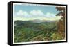 Great Smoky Mts. Nat'l Park, Tn - View of Clingman's Dome in the Autumn, c.1940-Lantern Press-Framed Stretched Canvas