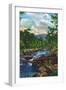 Great Smoky Mts. Nat'l Park, Tn - View of Little River Near Gatlinburg, c.1946-Lantern Press-Framed Art Print