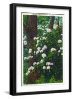 Great Smoky Mts. Nat'l Park, Tn - View of Mountain Rhododendron in Bloom, c.1946-Lantern Press-Framed Art Print