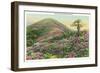 Great Smoky Mts. Nat'l Park, Tn - View of Purple Rhododendron in Bloom, c.1940-Lantern Press-Framed Art Print